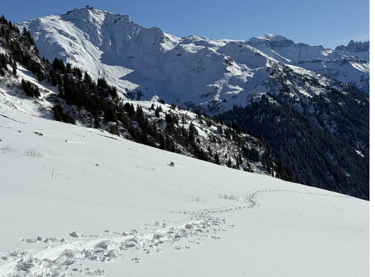 Wanderung durch sanfte grüne Hügel