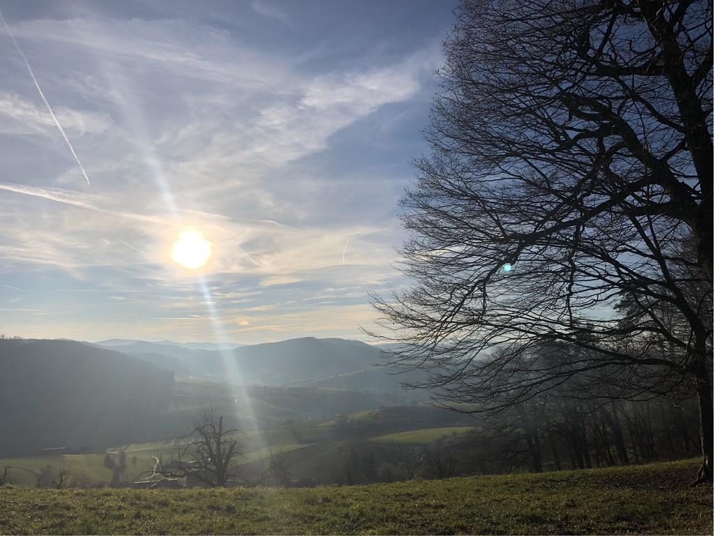 Rebberge im Fricktal mit Weitsicht