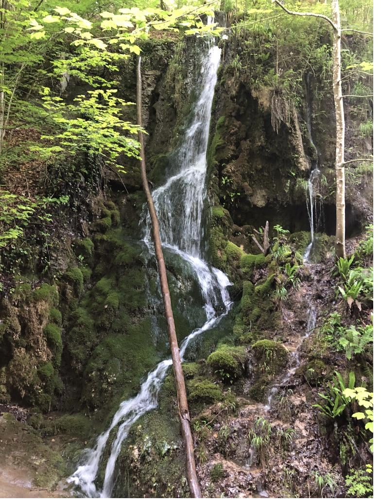 Wasserfall in einem moosgrünen Wald